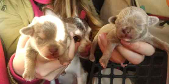 Die jüngsten Fahrgäste