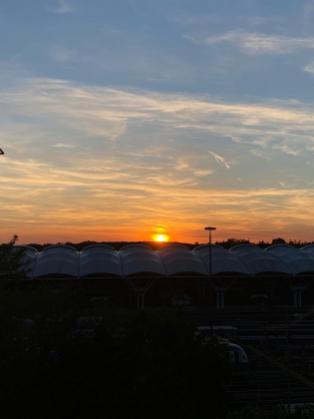 WhatsApp Image 2022-05-14 at 21.34.33